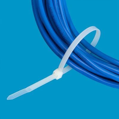 Nylon Zip Cable Ties Security Seal (TC005-2020)