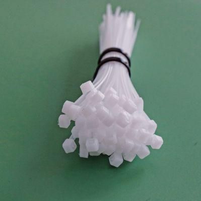 Good Service RoHS Approved 94V2 Boese 100PCS/Bag Wenzhou Plastic Products Nylon Self-Locking Cable Tie