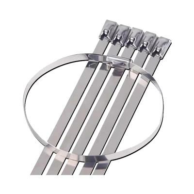 Meishuo Stainless Steel Banding Strap Cable Ties Wolf Tooth Buckle