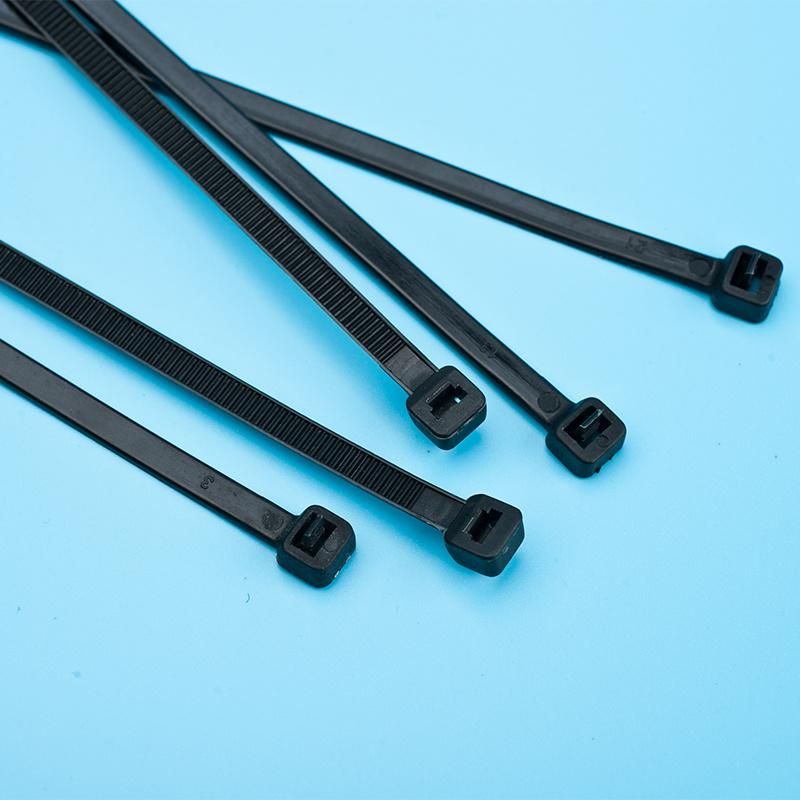 Custom Sizes Self Locking Nylon Cable Tie (TC005-2010)