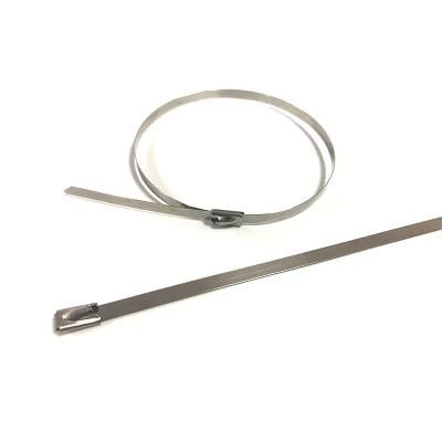 316 Self Locking Stainless Steel Metal Zip Cable Tie Mount