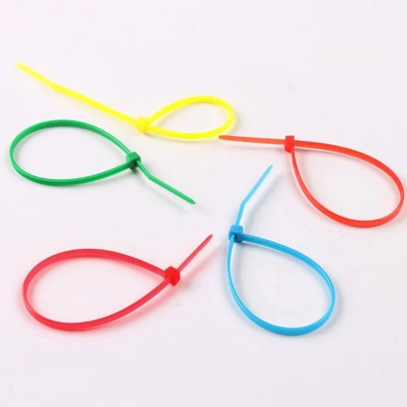 Custom Colour 1000PCS Wholesale Nylon PA66 Self Locking Cable Tie