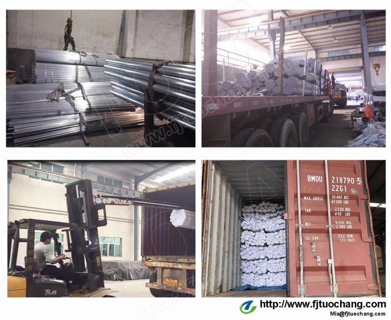 Hot Sale Galvanized Tubo De Acero BS31 Steel Pipe