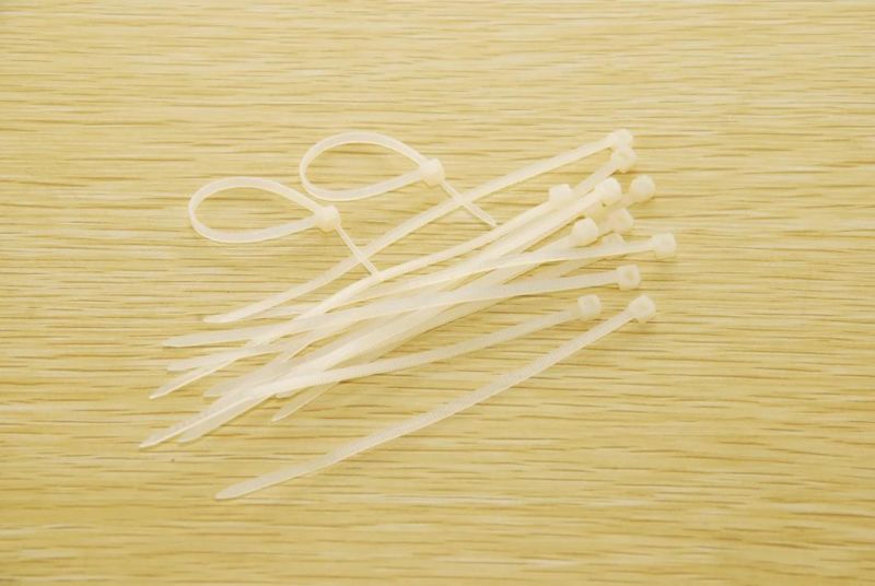 Colorful Nylon Cable Tie with RoHS