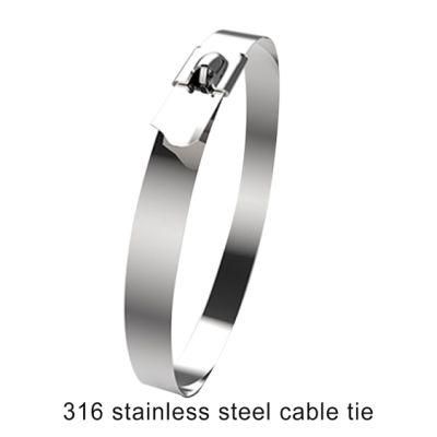 Electrical Products Custom 4.6*250mm Self-Locking Stainless Steel 316 Cable Ties