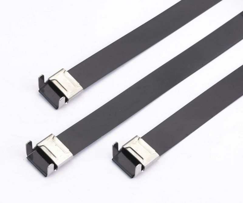 PVC Coated /Covered Stainless Steel Cable Ties (SS304/316)