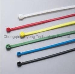 Nylon Cable Tie with Nylon 66 CT2.5*100