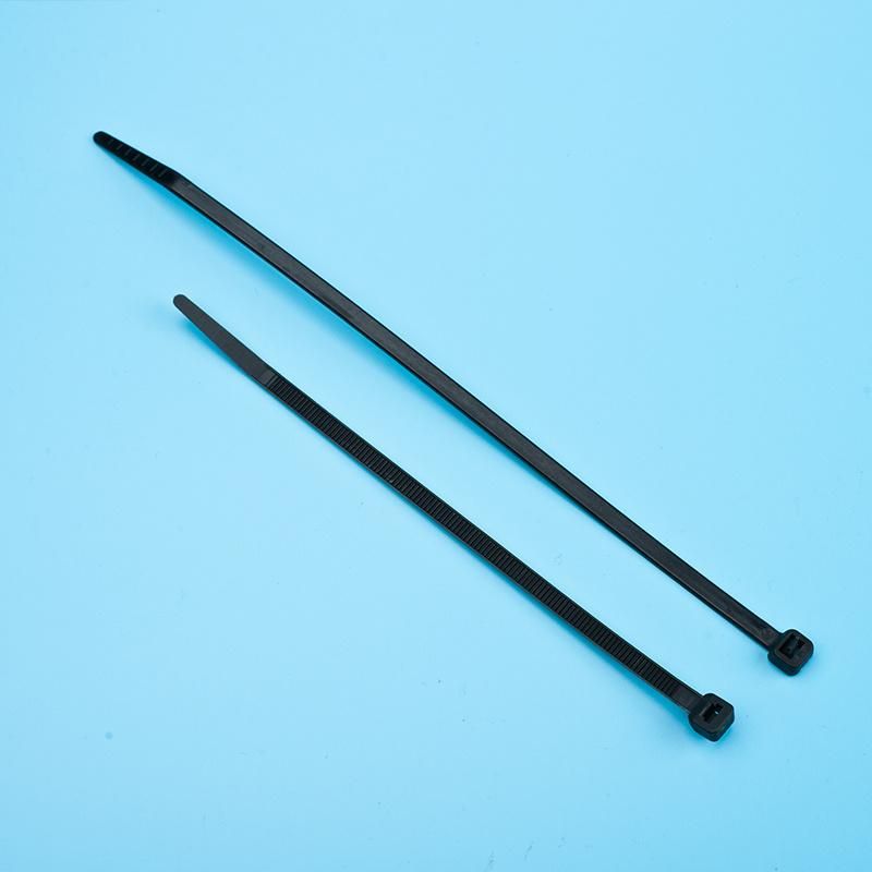 Custom Sizes Self Locking Nylon Cable Tie (TC005-2010)