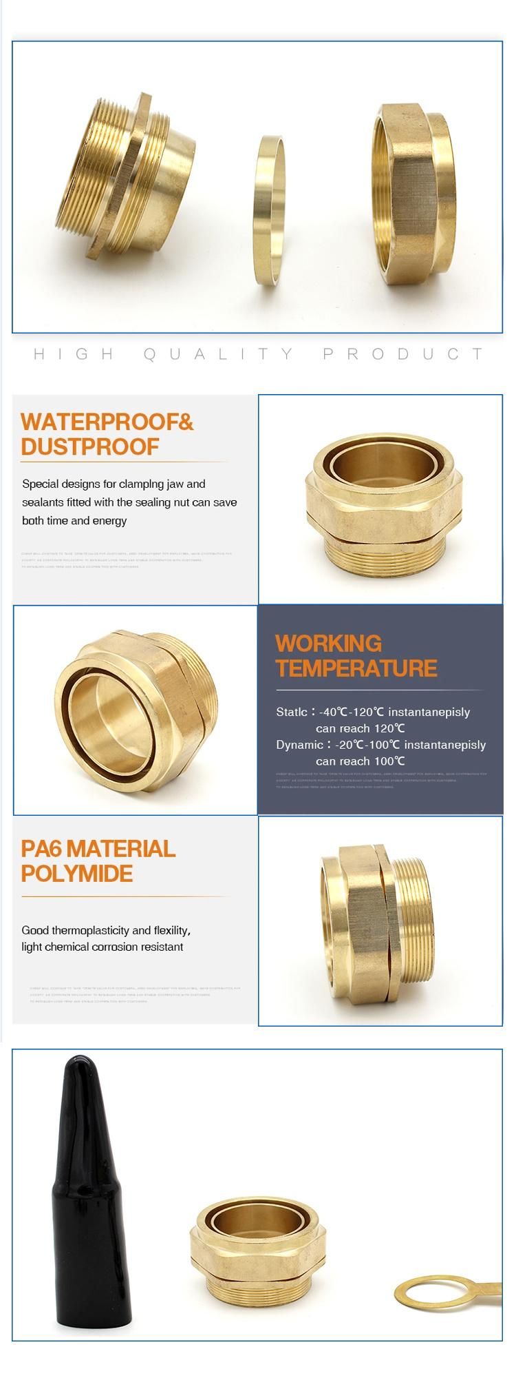 NPT1/2 Bw Brass Cable Gland Swa Metal Armoured Cable Gland with Earth Tag