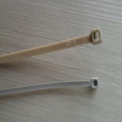 Grey Color Nylon Cable Tie