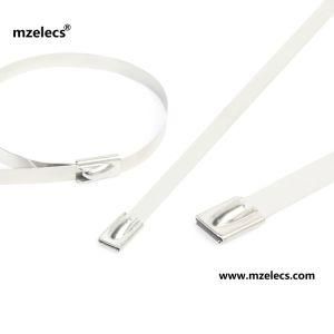 Stainless Steel Ball Lock Uncoated Cable Tie