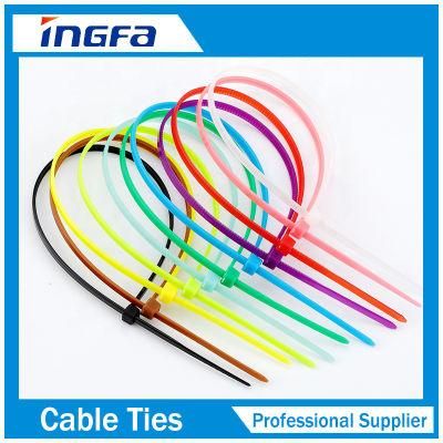 Double Locking Cable Ties