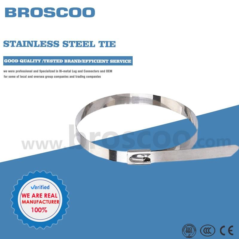 Ball Lock Type Self Locking Cable Band Blank 304 316 Stainless Steel Tie Steel Bag Packaging Color Feature Material Pieces Super