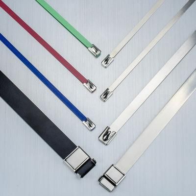 201 Stainless Steel Cable Ties 10X500