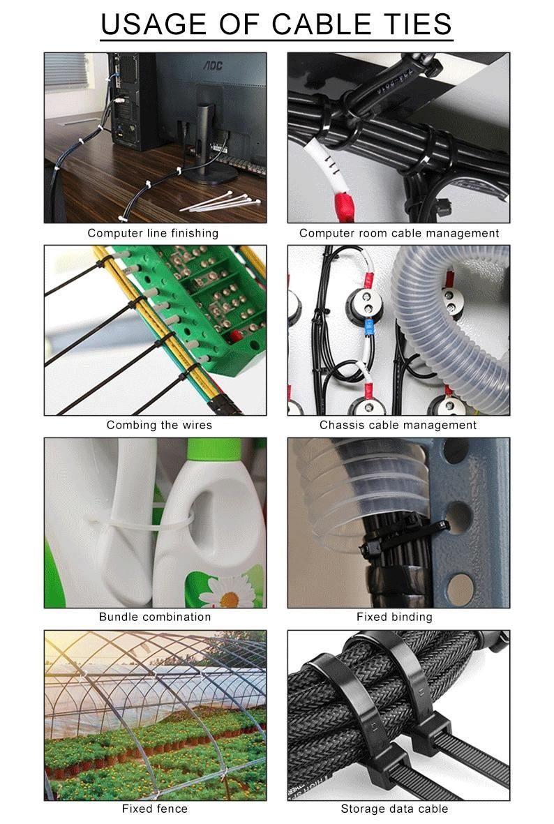 Manufacturer 2.5X100mm Plastic Ties Self-Locking Cable Ties