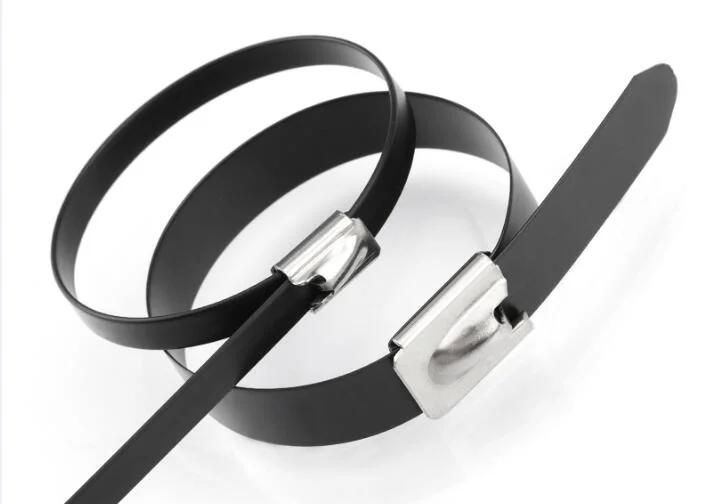 Epoxy Polyester Coated Ball Locking 304 316 Stainless Steel Cable Ties with UL