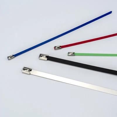 316 Stainless Steel Cable Ties 10X300