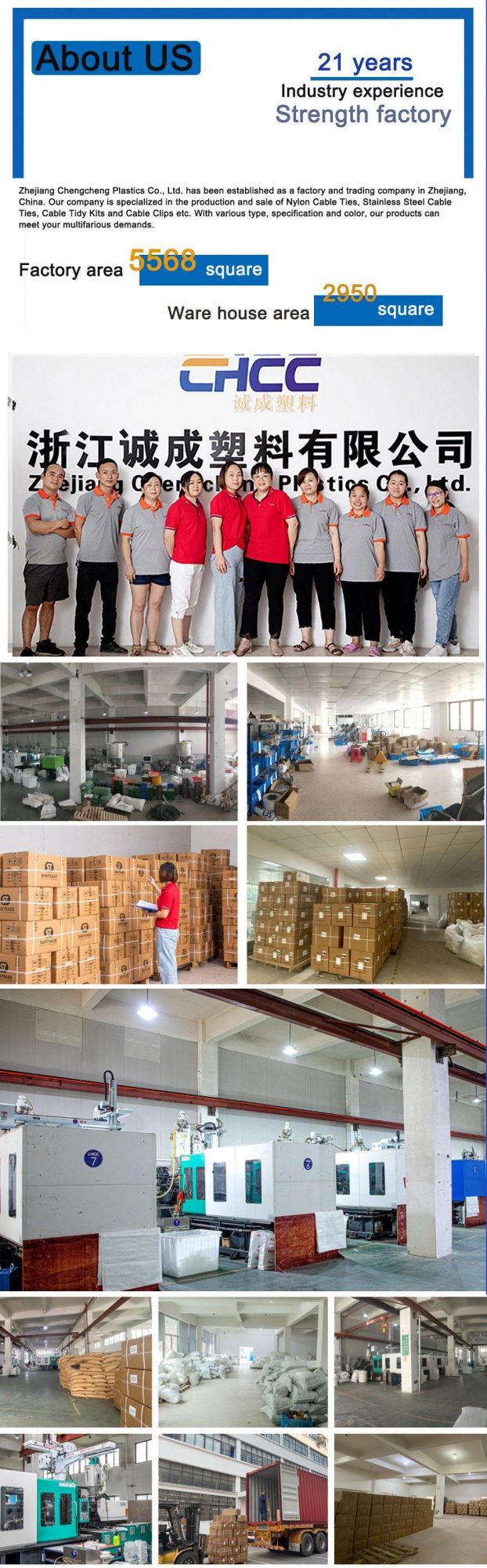 Customized Adjustable Double Hook PA 66 Nylon Cable Tie Plastic Wire Zip Ties Self-Locking Releasable Cable Accessories Factory