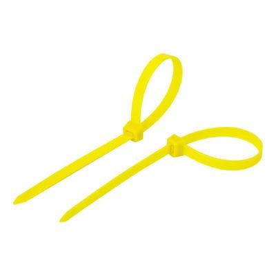 PA Nylon Cable Ties with Competitive Price UL