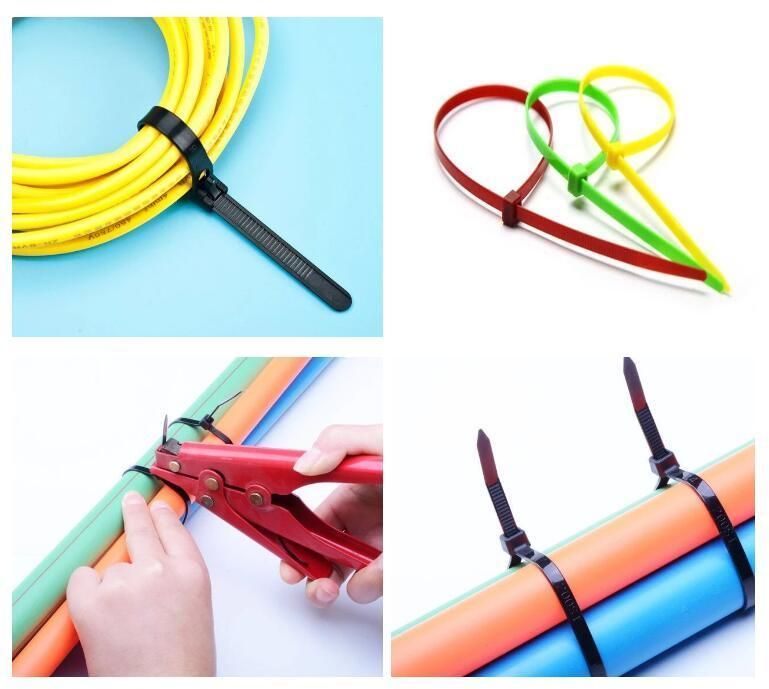 Self-Locking Plastic Nylon Cable Tie with Certificate