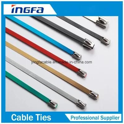 Chinese Manufacture Spray Plastic Stainless Steel Cable Ties
