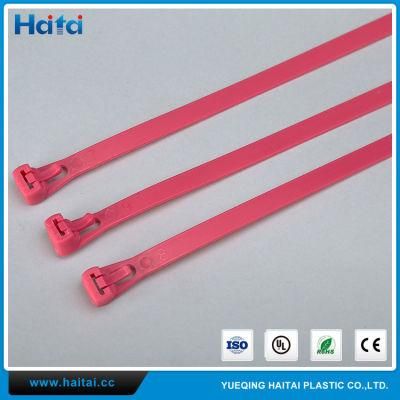 Free Sample 8&prime;&prime;nylon Cable Tie