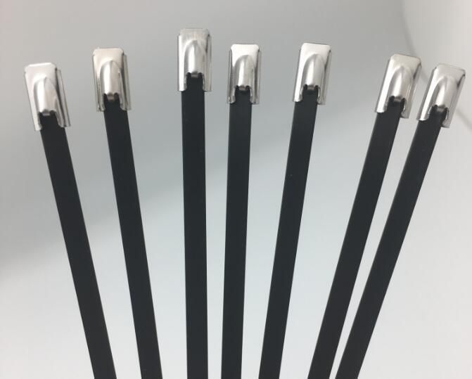 ISO9001 Chinese Factory Epoxy Polyester PVC Coated Ss 304/316 Cable Ties