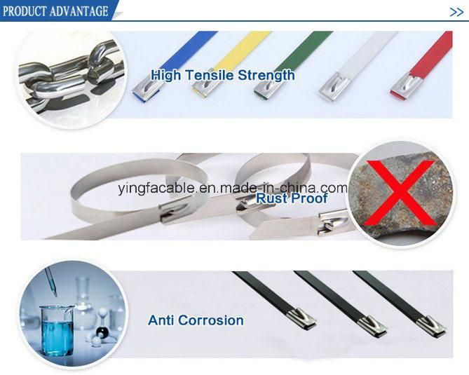 Spray Plastic Stainless Steel Cable Ties with Ce RoHS