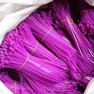 Hot Sale 2.5X100-4.8X400mm 2.5X100-9.0X1020mm Boese 100PCS/Bag Wenzhou Amarras Nylon Cable Mechaine Plastic Tie