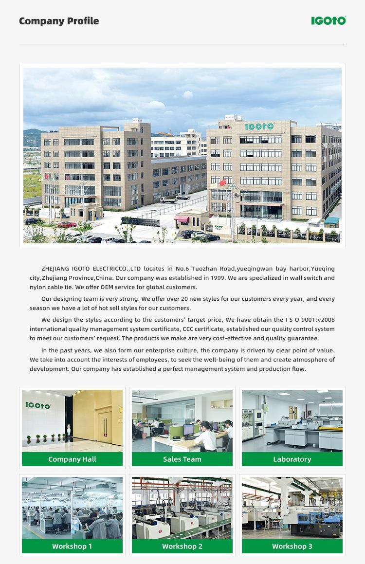 China Yueqing Supplier for Self Locking Nylon Cable Tie