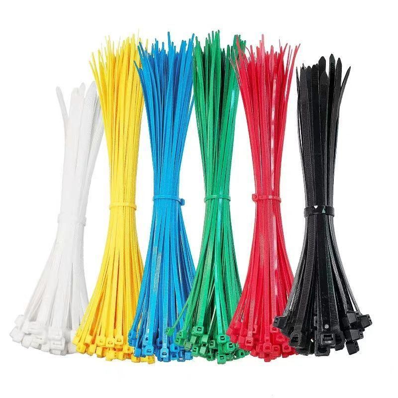 Factory Cable Ties PA66 100mm 200mm Nylon Cable Ties with High Quality