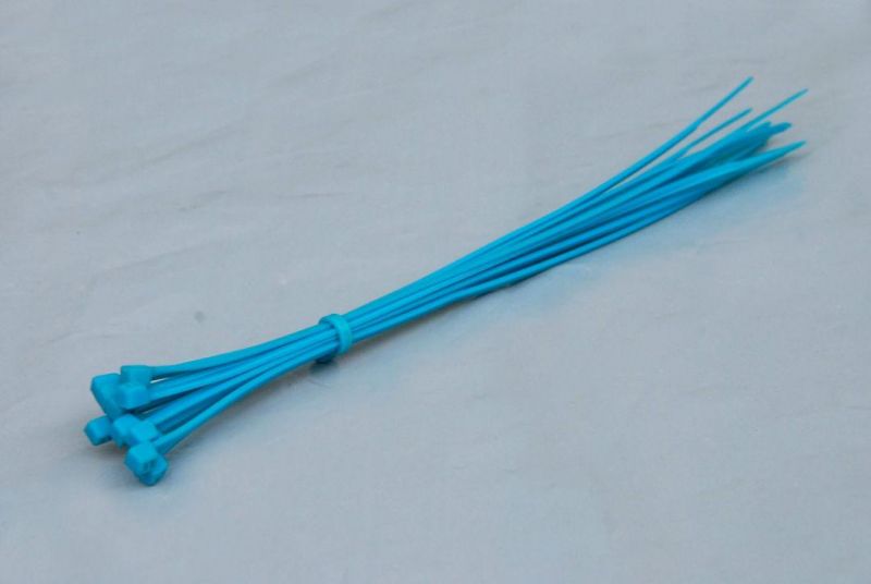 Colourful Nylon Cable Tie for Commodity Security Use