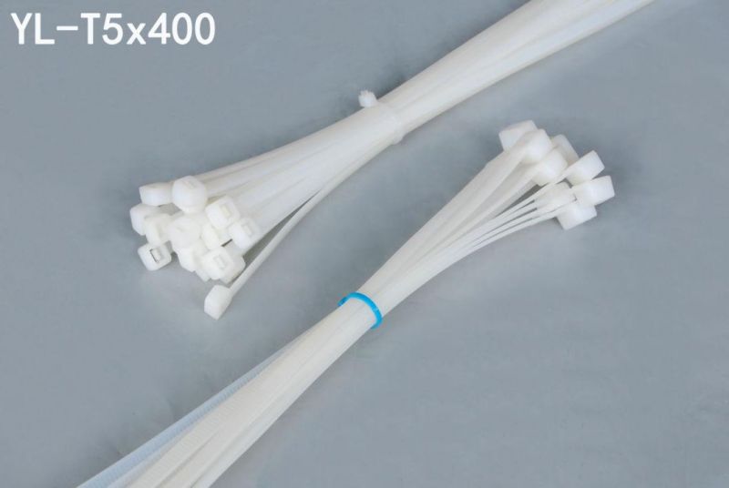 Nylon Cable Tie for Commodity Tightly Package (400mm Length)