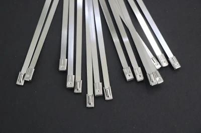 CE Approved 304 Ties Stainless Steel Buckles Nylon Cable Tie with Factory Price 4.6X200