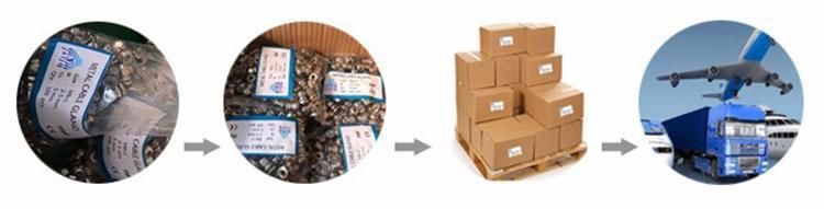 IP68 NPT 1 2" Pg Thread Pg07 Pg09 Pg11 Pg13.5 Pg16 Pg19 Pg21 Pg24 Pg29 Pg36 Pg42 Pg48 Pg63 Nylon Inch Cable Glands
