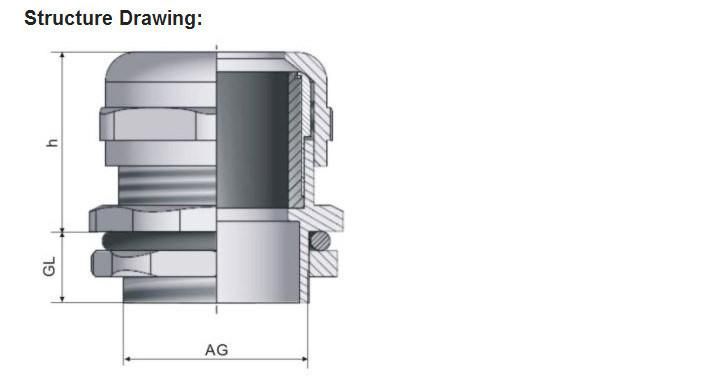 Stainless Steel Cable Gland