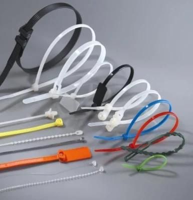 Free Sample 4&prime;&prime; 6&prime;&prime; 8&prime;&prime; Nylon Cable Tie