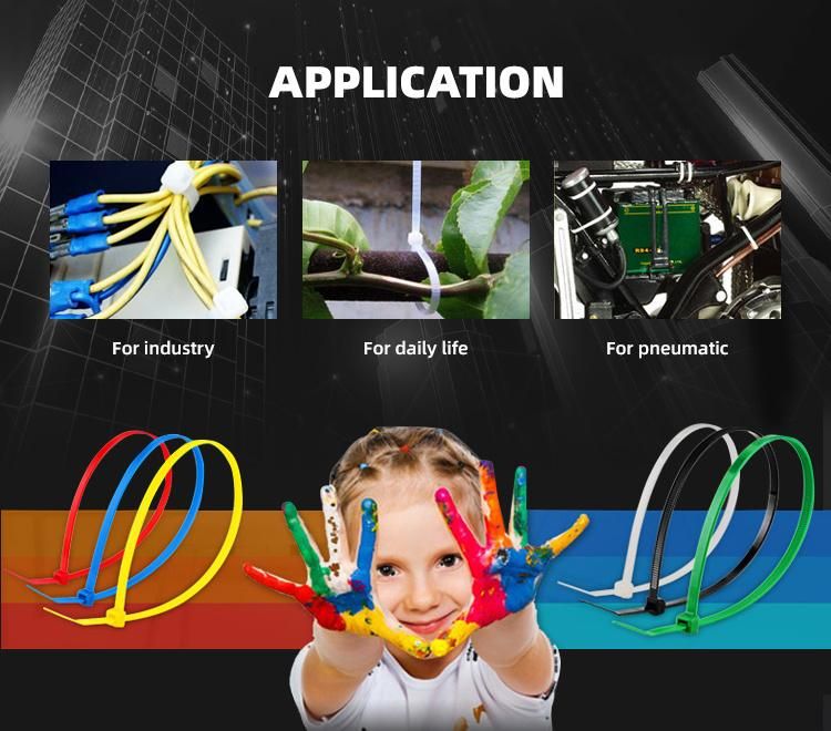 Professional Factory Custom Industrial Plastic Nylon 66 Cable Ties Zip Ties