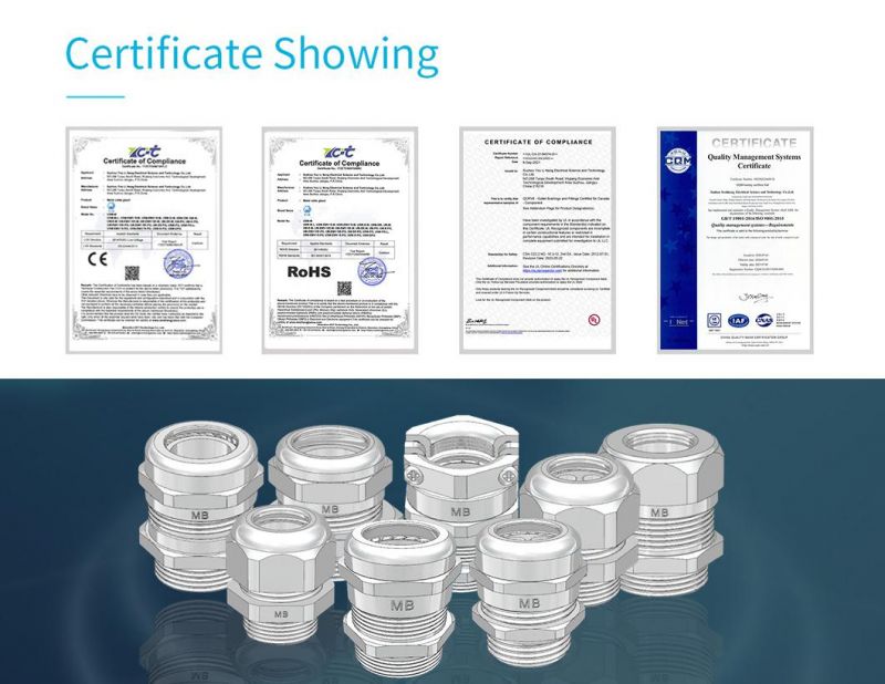 RoHS Compliant Metric Pg Thread Electric Wire Connector 304 Stainless Steel Cable Gland