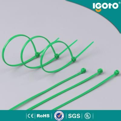 Igoto Et 5*400 Hot Sale Self Locking Nylon6 PA6 Plastic Cable Tie Factory