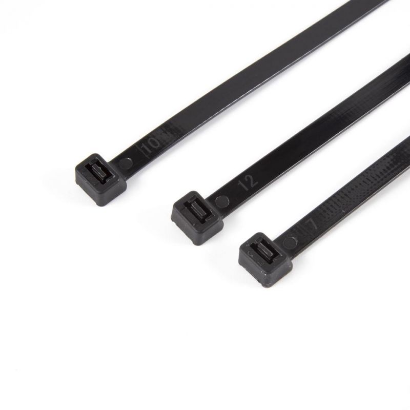 High Quality PA66 Black Nylon Cable Tie