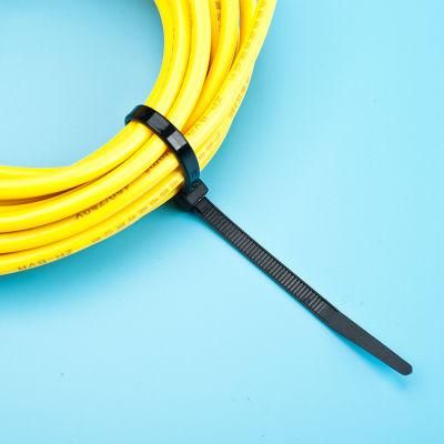 Custom Sizes Self Locking Nylon Cable Tie (TC005-2010)