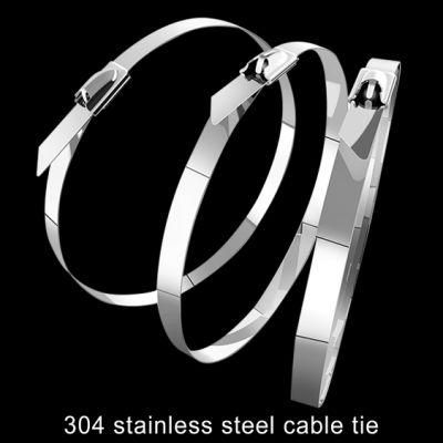 Custom 4.6X300 Metal 304 Stainless Steel Cable Tie