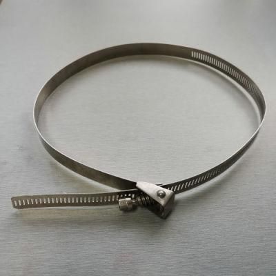 Big High Quality American Hose Clamp