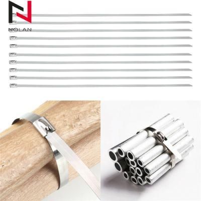 Weather Resistance SS304 SS316 Reusable Coated PE Nylon11 Metal Stainless Steel Ball Lock Cable Zip Ties