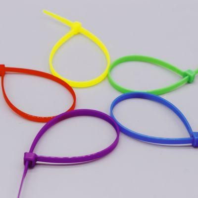 White 2.5X100-3.6X300 Nylon66 Wiring Accessories PA66 Nylon Cable Tie with Good Service