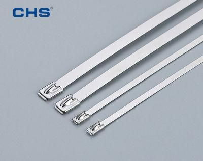 SS304 SS316 Sst-4 Sst-9 Sst-12 Stainless Steel Zip Ties Cable Ties