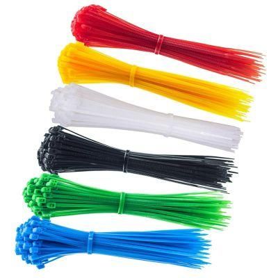 Wholesale Direct Self Locking Hotselling Nylon Zip Cable Tie with Label