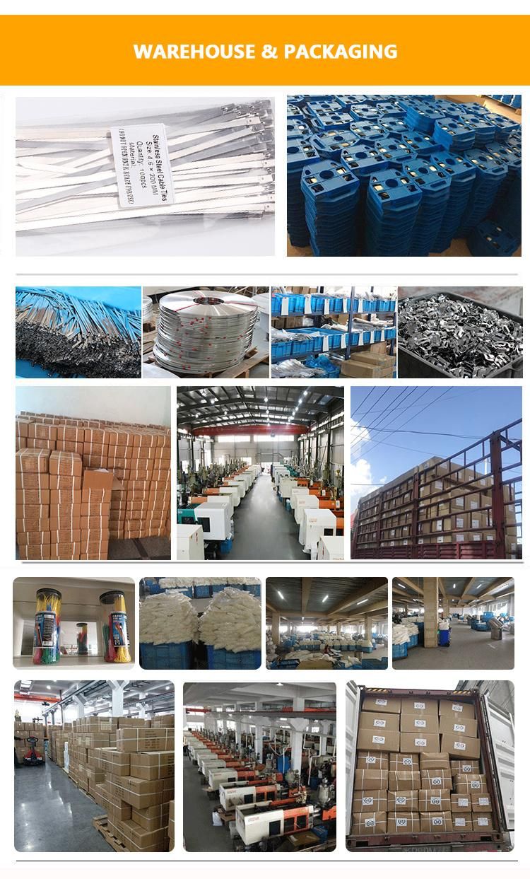 Self-Locking 304 Stainless Steel Cable Tie Marine Cable Steel Metal Cable Tie Manufacturer