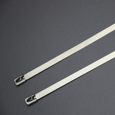 AISI 316 Cable Tie 8X600